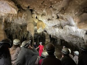 88865c29 0c72 4d57 b1f0 634111683269