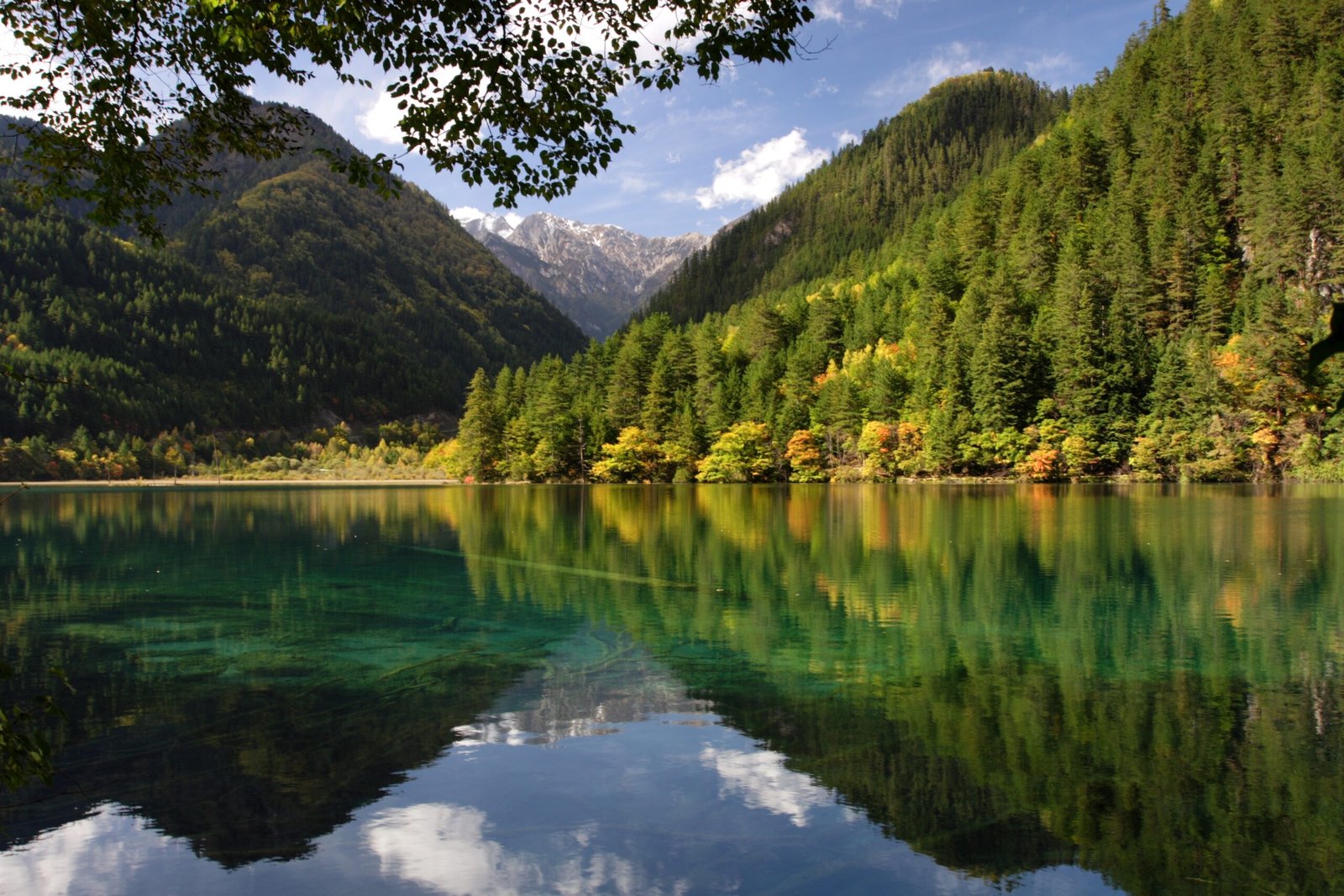 beautiful landscape shot of a lake and green mountains at the jiuzhaigou national park in china